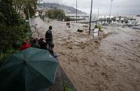 O primeiro-ministro de Portugal, José Sócrates, afirmou que o tamanho da calamidade que afetou o arquipélago lhe causou um “choque profundo”.